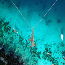 Hammerhead Shark Shark Pendant Necklace S925 Silver Diver Silver Sea Creature Sterling Silver Shark Pendant