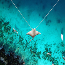 Manta Liu Bosin Manta Ray Hammerhead Shark S925 Sterling Silver Silver Sea Creature Necklace Diver Pendant