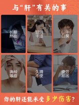 Chrysanthemum Semen Cassiae Tea Flag Ship Store Beef Burdock Root Wolfberry Nourishing Chrysanthemum Medlar Semen Cassiae