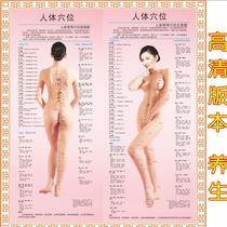 Body twelve meridians and acupoints human body map large wall map health Hall home Picture full body HD 12 walk