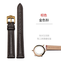 Браун-золотой пряжка