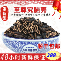 Zhang Xinfa store betel nut Supreme research brain shell 500g scattered seed ice nut fresh tobacco fruit Xiangtan Shunfeng