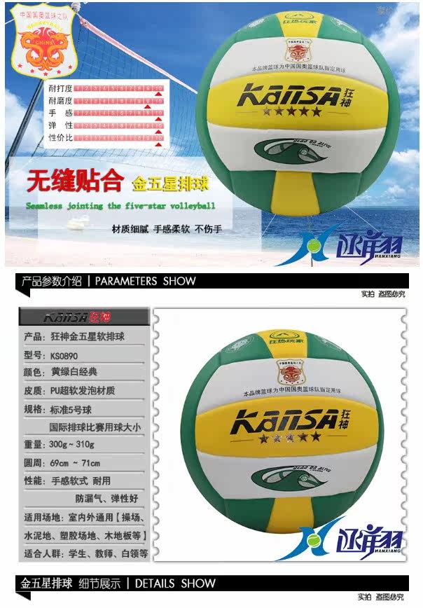 Ballon de volley - Ref 2015510 Image 6