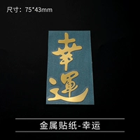 Металлический патч-19-Lucky