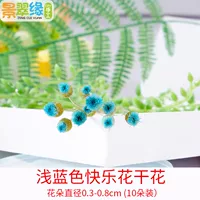 Голубые счастливые сушеные цветы (10 нарядов)