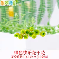Зеленые счастливые цветы сушеные цветы (10 цветов)