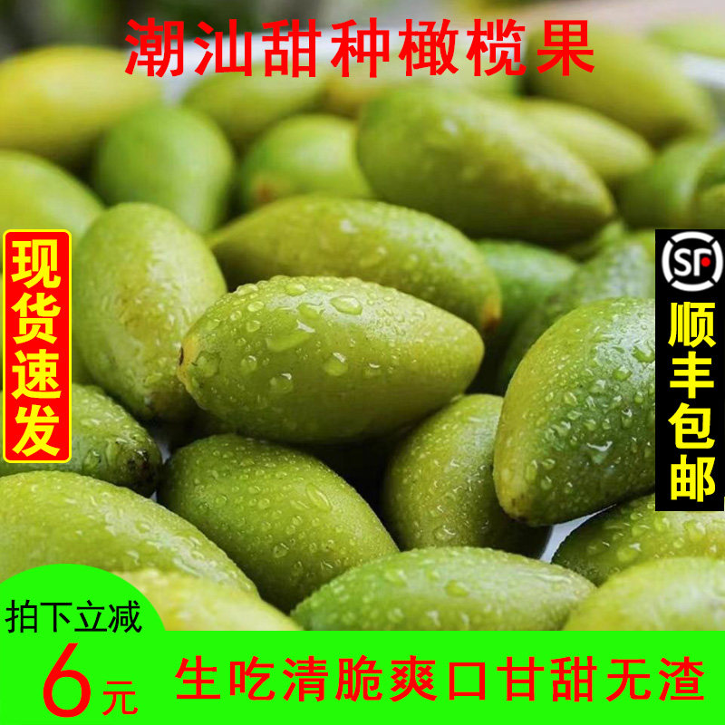 Guangdong Terproduce 2 Sweet Seed Fresh Green Olive Fruit Now Off to Season Raw Sandalwood Olive Mandarin Fruits Pregnant