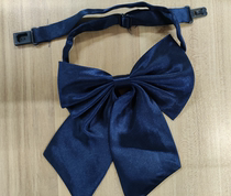 Ke Yuan Middle School Student uniform tie bow tie