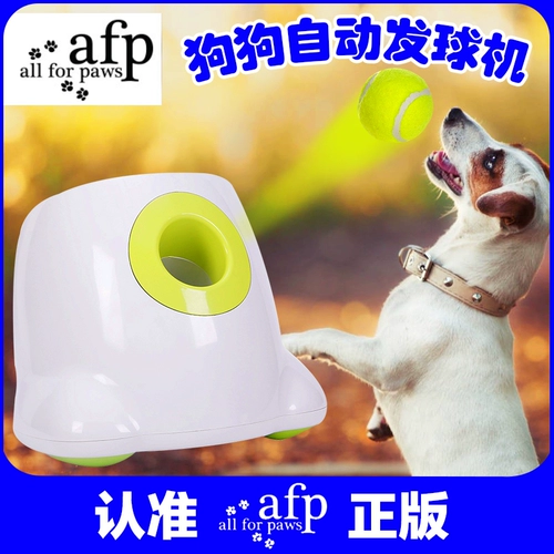 ДОБАВИТЬ СВОЙСТВЕННАЯ ДОБАВИТЬ ДОБАВИТЬ ДОБАВИТЬ БАЛЛ ПЕТ ТЕННИС