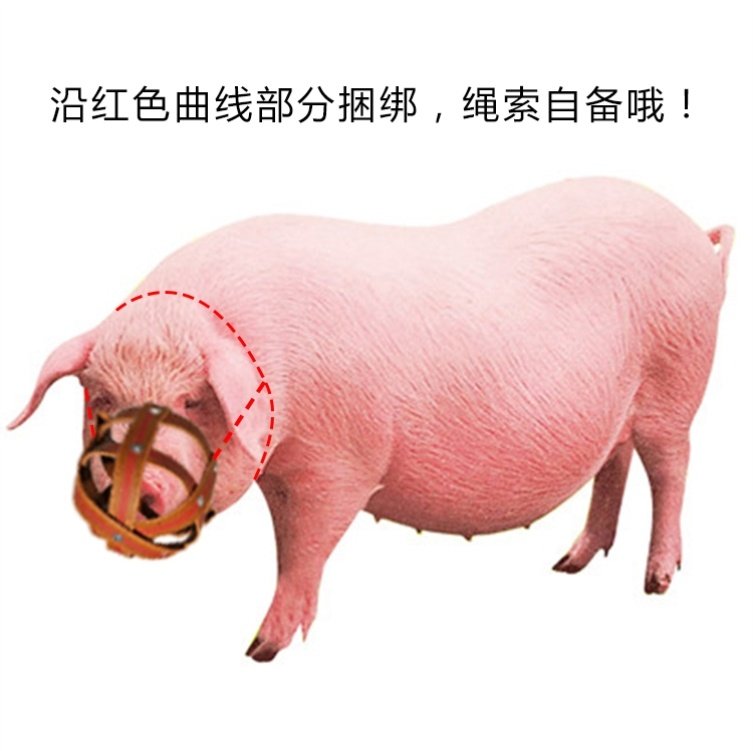 Sow anti-bite set piglet artifact piglet mouth cover anti-bite sow mouth cover horse cow sheep anti-eating pig with special