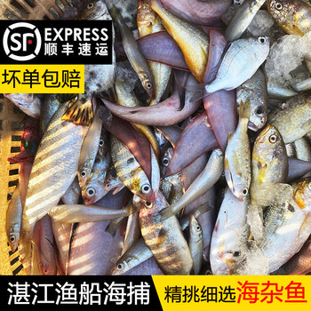 Zhanjiang sea-caught fresh fried fish in soup