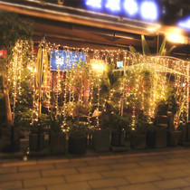 Colorful lights Colorful color change Spring Festival flashing lights Starry lights New Year decoration colorful lights tree outdoor Outdoor tree hanging flashing