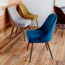 Nordic dining chair home restaurant chair back chair modern simple desk and chair Net red light luxury iron leisure chair