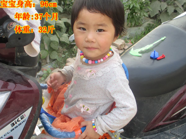 siège enfants pour vélo - Ref 2417116 Image 41