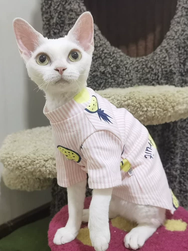 Одежда кошачьей одежды Sphinx Devin koenice Summer Thin Thin подвеска