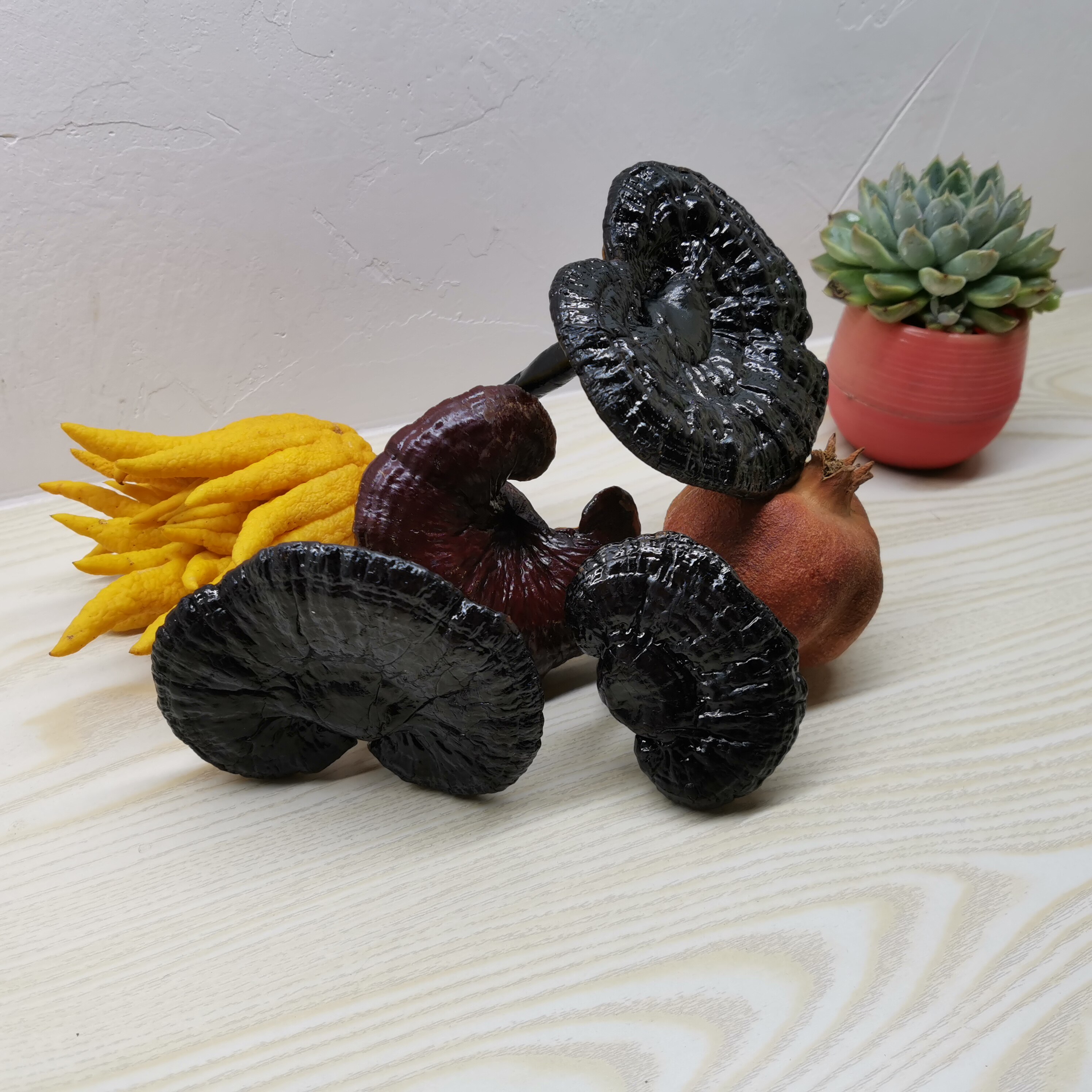 4X6A批发灵芝 整枝 装饰摆件 清供 禅意 灵芝 紫灵芝 上供-阿里巴巴