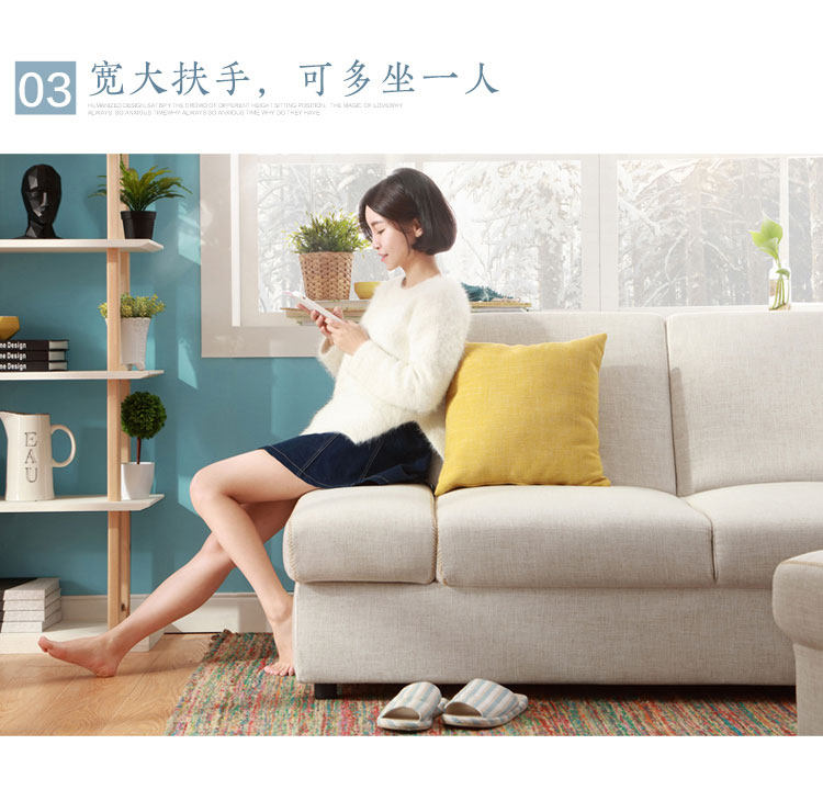 1004 комбинация - Подробности продукта 750 - двухцветный диван_11.jpg