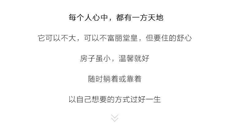 1004 Комбинация - Подробнее о продукте 750 - двухцветный диван _02.jpg