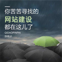 Do website construction production web design B2C foreign trade mall company enterprise website custom development one-stop train