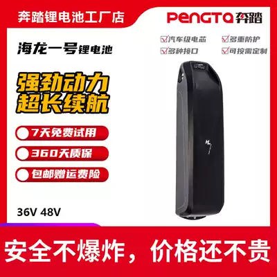 36v electric vehicle lithium battery modified electric bicycle 48V12AH Hailong No.1 imported Panasonic large capacity battery