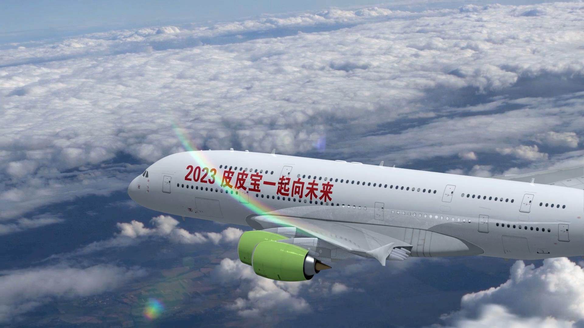 空中白色大客机