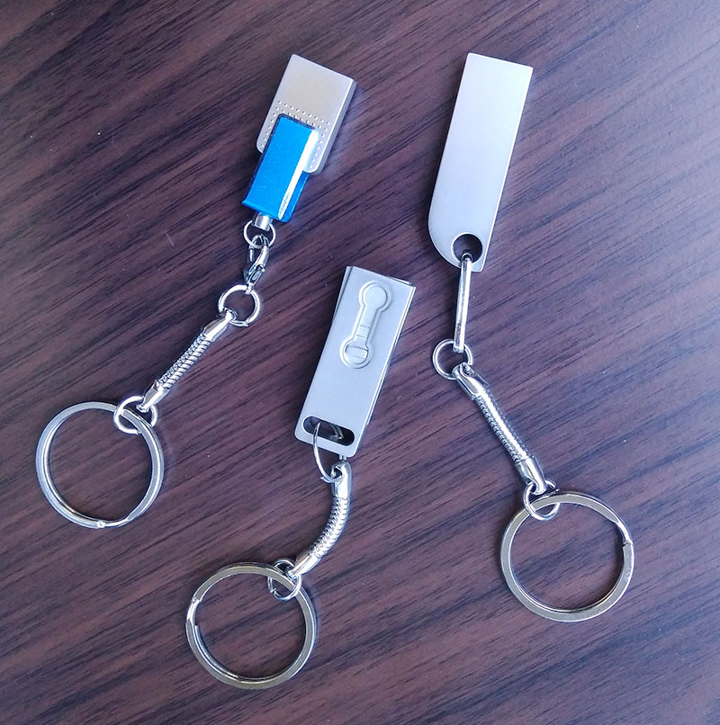 Mười Keychain Mini Vòng Chìa Khóa Xe Buýt Metro Card Lanyard U đĩa Vỏ Điện Thoại Di Động Phụ Kiện Rắn Khuy Măng Sét Xương