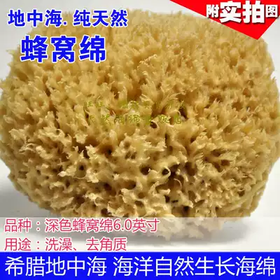 Large size natural sponge Greek Mediterranean natural primary color seaweed cotton Honeycomb cotton 6 0~6 5 inch bath