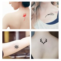 Semi-small tattoo pattern hollow template hipster clavicle women Korean sticker template spray painting mold