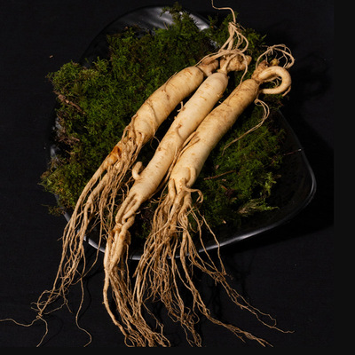 【长白山特产】新鲜现挖正宗鲜人参