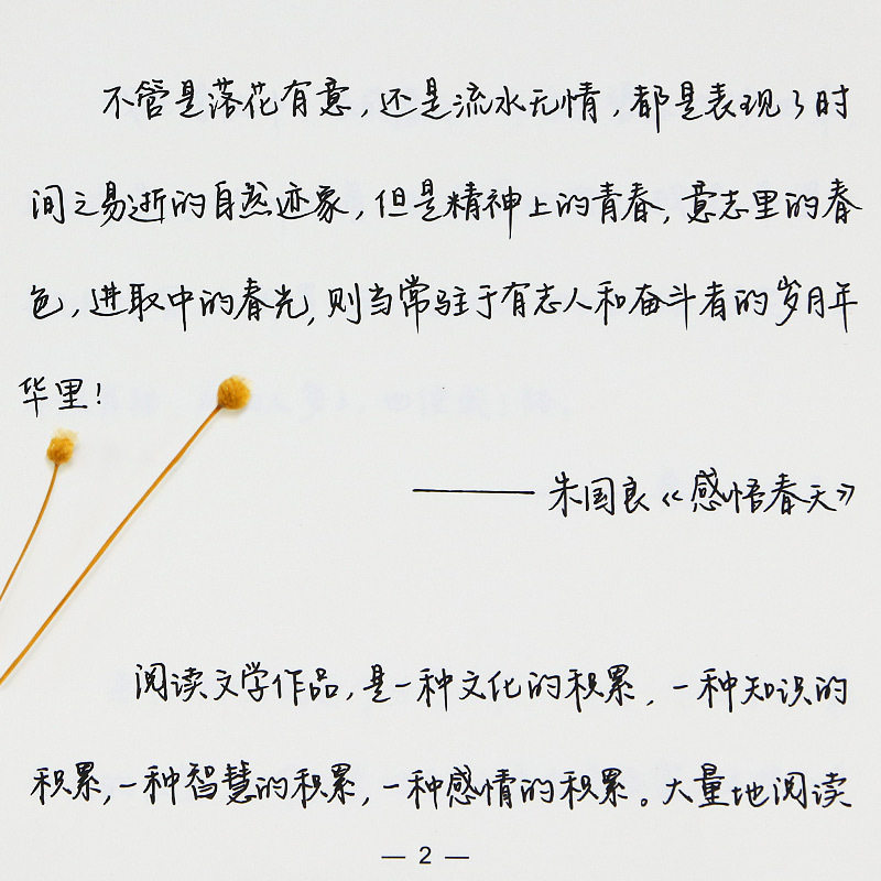 Handwritten letdown into a pedestrian block book speed into a girl's beautiful little fresher and hard pen calligraphy This college student practice copywriting post