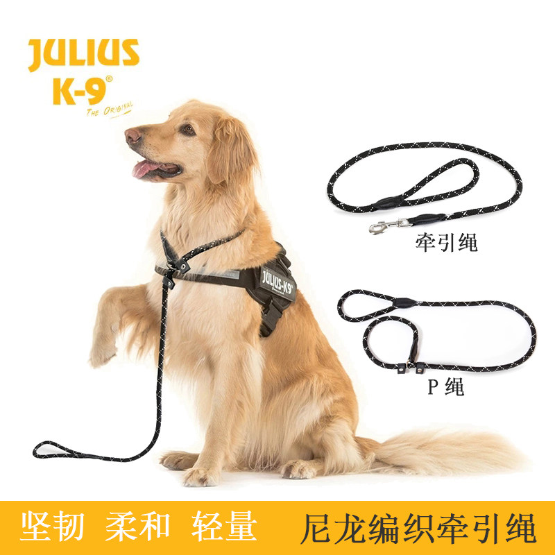 Julius K9 Sammoyer dog necklace with dog rope Kim Maulladop chain Large canine dog traction rope