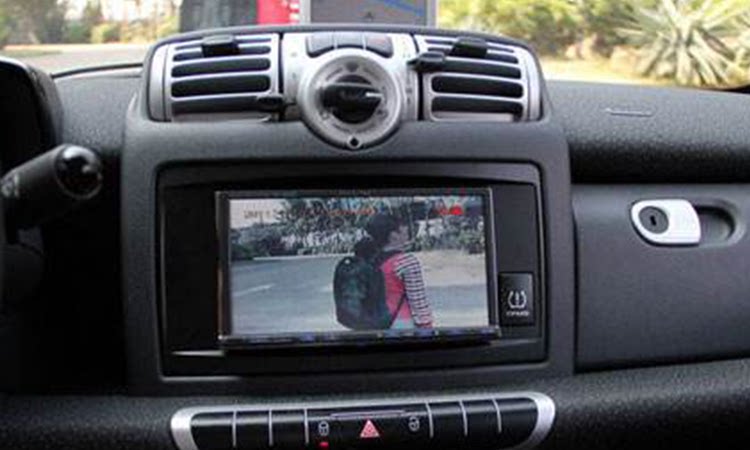 华西村人均收入_人均汽车拥有量(3)