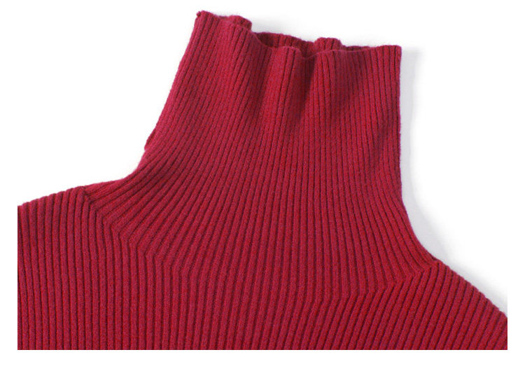 5611273400803 (2).jpg