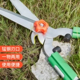 Садовые инструменты большие ветви и нарезанные фруктовые деревья.