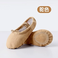 Стандартный заголовок верблюда