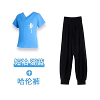 Футболка, штаны, короткий рукав