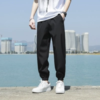 8802-Solid Color Black