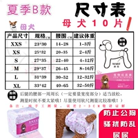 Летнее обновление B -типа сука