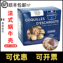 Audi brand French snail shells 48 shells 290g Western food plate decorations imported from France