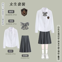 Рубашка, галстук-бабочка, значок