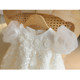 High-end foreign style baby one-year-old dress Korean version high waist dress baby birthday wedding flower girl princess dress fluffy