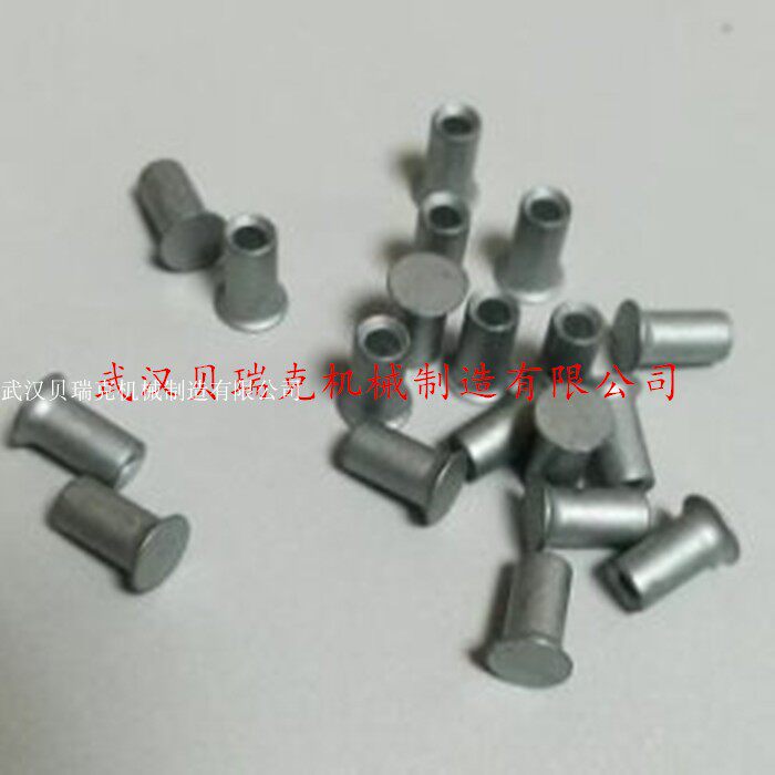 Semi-hollow rivets M8 M9 M10