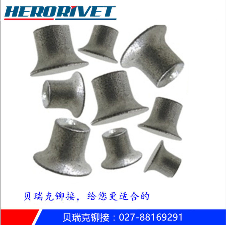 BMW machine cover rivets aluminum body pressure rivets