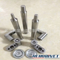 Press riveting machine punch riveting machine punch without rivet connecting machine special mold