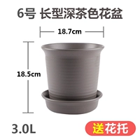 № 6 длинного глубокого чая (посылающий пот -