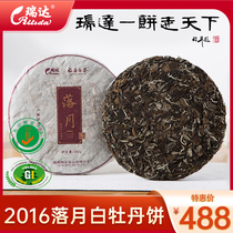 Ruida Fuding White Tea 2016 Alpine Old White Peony Sunset Moon Old White Tea Cake Flower Fragrant 350g Tea Cake Tea