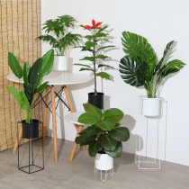 Simulation plant green plant potted fake tree Nordic interior decoration living room drop desktop furnishings ornaments non-live seedling bonsai