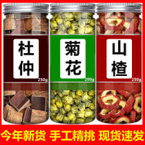 Eucommia chrysanthemum and hawthorn combination Chinese medicinal materials official hawthorn dried chrysanthemum tea freshly soaked in water to make tea and drink dry goods