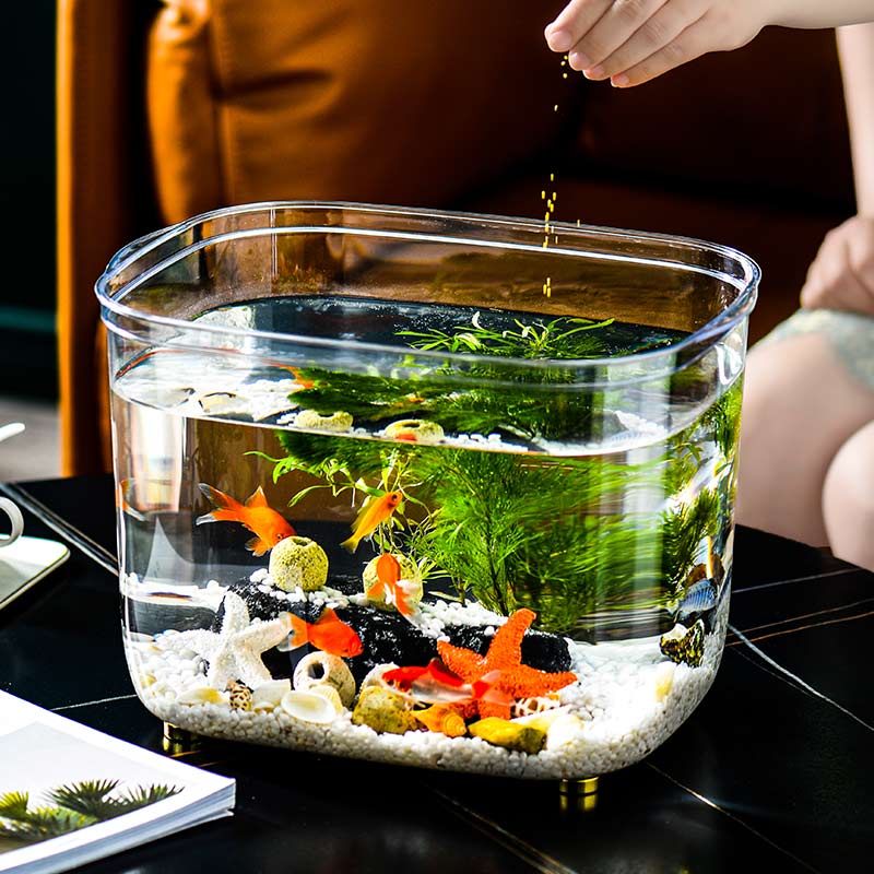 Fish tank living room small desktop small fish tank home aquarium ecological plastic goldfish tank water grass turtle tank