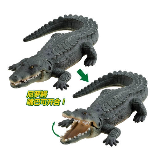 Takara tomy, морская модель животного, игрушка, крокодил, бегемот